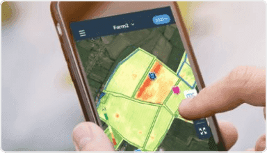 Screenshot of field health in fieldmargin on a mobile device
